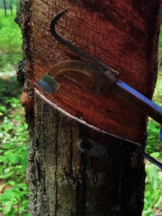 读《寒门诡将》学古人智慧,让你在为人处世中立不败之地! #寒门诡将 #好书分享 #认知觉醒 #谋略智慧