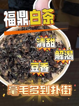 纯纯福鼎寿眉白茶,多层锡纸保护!清甜豆香,88元一家大小饮足 这个夏天 #茶生活 #茶文化 #白茶 #召唤茶友 #福鼎寿眉白茶