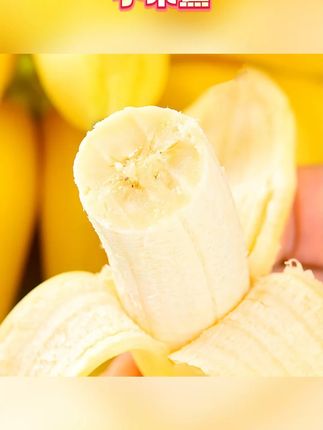 广西小米蕉水果小香蕉产地直发小芭蕉酸甜蕉小蕉  #广西小米蕉  #甜蕉  #小芭蕉  #酸甜蕉  #小香蕉