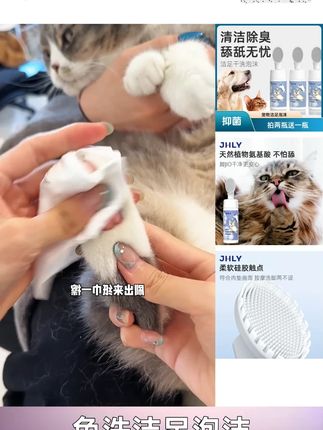 猫咪洗脚太方便了!刷完粉粉香香的~#养猫用品推荐 #jhly洁足泡沫
