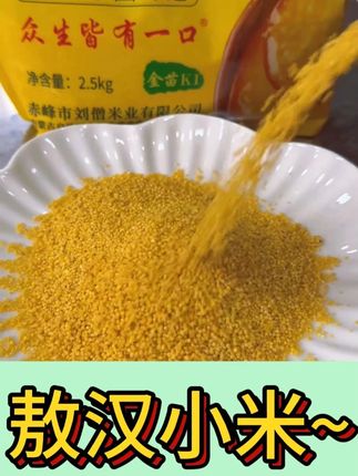 #五谷杂粮 #营养早餐 #好吃又营养 今天熬的小米粥,口感糯糯的有一层厚厚的米油 #我的乡村生活 #小米粥