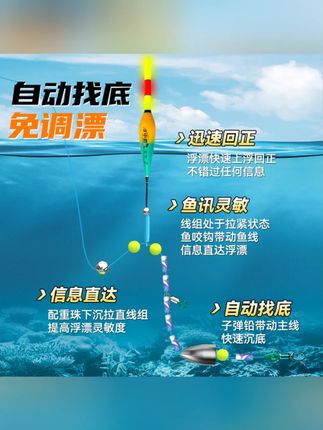 自动找底免调漂滑漂路滑线组套装日夜两用远投加粗尾变色浮漂鱼线#钓鱼装备 #自动找底鱼线组 #日夜两用 #远投鱼线 #浮漂套装