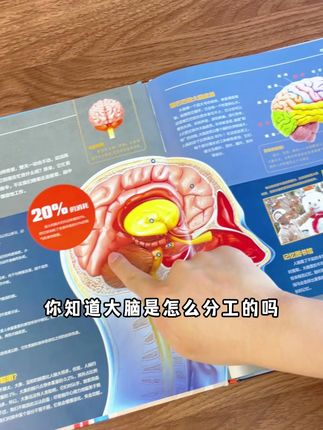孩子对身体感到好奇的时候,用这样的科普书来了解自己的身体,好看有趣还涨知识#童书推荐 #百科知识 #少儿科普 #育儿 qyy