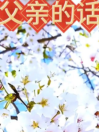#摆件 #礼物