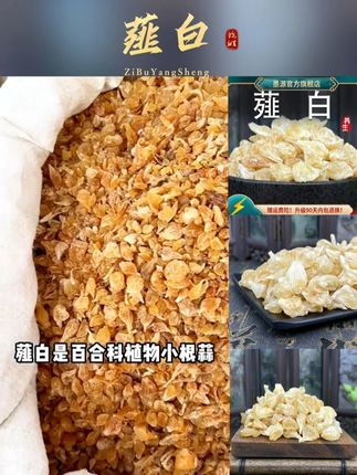 什么是薤白?好的薤白怎么选? 新鲜野小野葱头薤白新鲜晾晒干货#薤白野蒜 #小野葱 #薤白瓜蒌汤 #薤白粥 #薤白