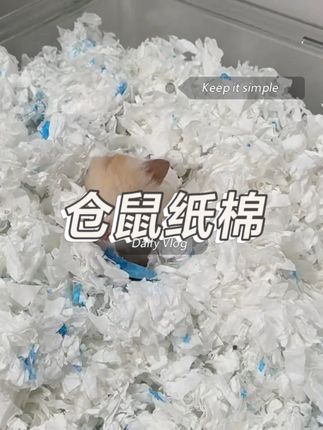 提前囤纸棉不慌!个位数到手一大包,让鼠鼠整个冬天暖暖的 #布卡星 #萌宠好物 #仓鼠纸棉