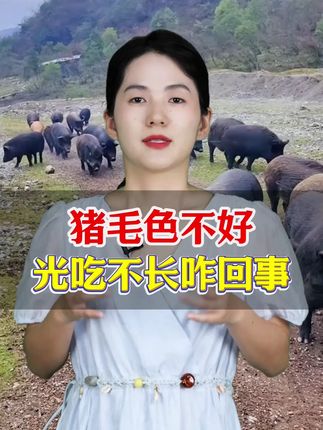 养殖场用阿苯达唑伊维菌素预混剂 #三农 #养好猪 #畜牧业 #所有养猪人 #每天分享养殖小知识