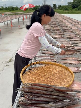 大家喜欢夏天吗,汗水都打湿了后背, #湖北特产 #阳干大白刁 #翘嘴鱼 #美食