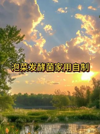 . 喜欢吃泡菜又总是腌不好,可以试试这个泡菜发酵菌粉,简单方便,清脆爽口又开胃#泡菜 #酸菜 #在抖音入手的好东西 #无限回购的宝藏单品 #男士神仙单品