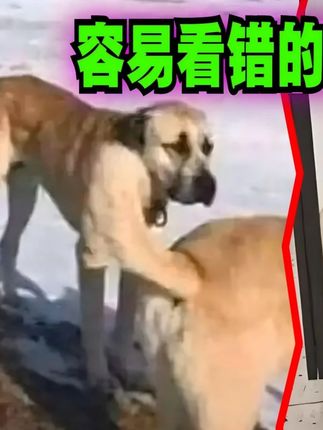 有些图看一眼就回不去了! #看一次笑一次 #看一眼 #错位 #抽象 #搞笑