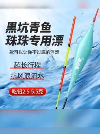 Y70-Y55不过底垂钓高灵敏行程加粗醒目青鱼用品纳米浮漂