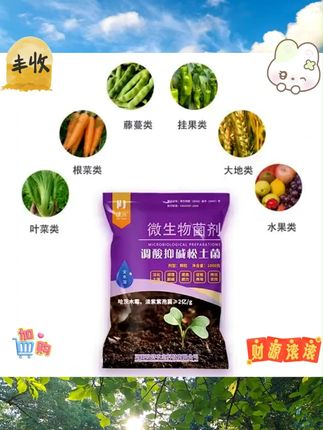 土壤板结盐渍化,硬邦邦不透气,这个松土菌一袋一亩地,修复改良土壤,让作物长势喜人,土壤疏松如面包 #土壤板结 #土壤改良 #土壤活化剂 #农业种植 #大棚种植