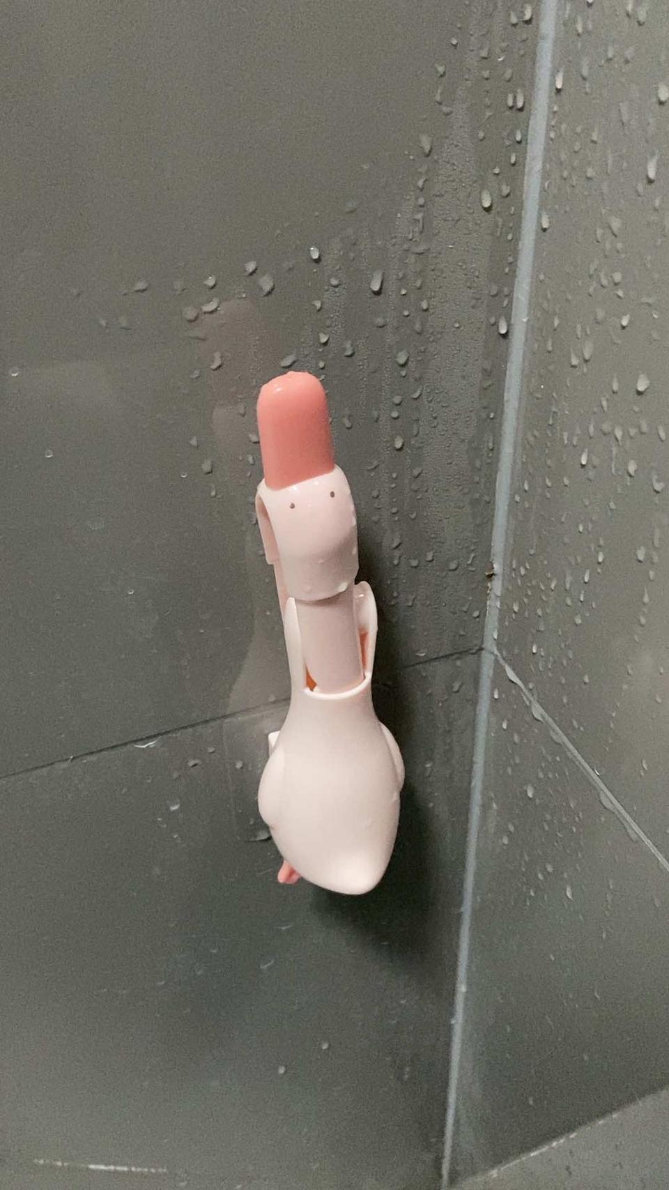 可爱鸭毛发夹子。
