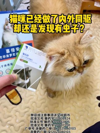 猫咪已经做了内外同驱,却还是发现有虫子? #海正动保 #猫咪驱虫 #内外同驱 #海乐妙 #喜倍安