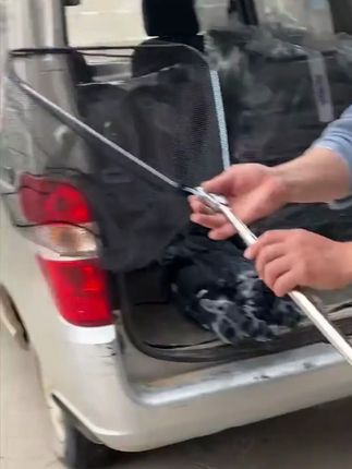 #折叠捕鱼网 #超便宜超划算 #抄鱼网 #结实耐用 #大抄网
