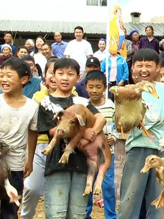 谁抓住谁抱走!贵州绥阳县坪乐镇农民丰收节,“抓猪大赛”趣味十足......猪猪:这么多人为我拼命......#绥阳 #2025农民丰收节 #趣味活动 #抓猪大赛