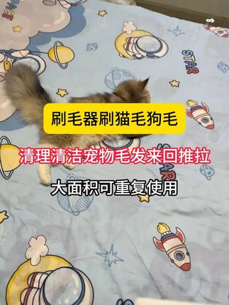 #刷毛器刷猫毛狗毛清理清洁 #宠物毛发来回推拉#大面积可重复使用