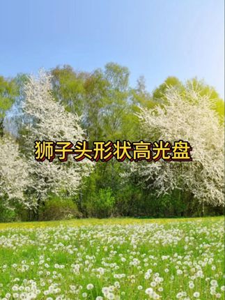 #美妆好物 #平价好物 #新手化妆教程 #分享爱用物 #修容