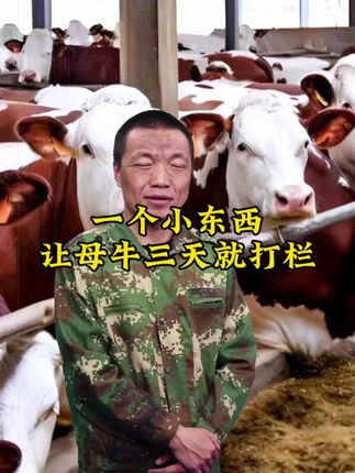 锅底灰加一物,养牛路上能致富 #牛 #养牛 #养殖 #三农