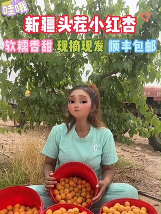 新疆阿克苏小红杏 优中选优给到大家 #阿克苏小红杏 #口感特别好