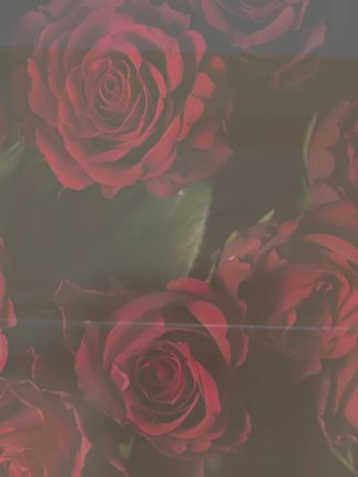 这款长柄杯刷工厂直发3块9发3吧,快给家里备上一单#厨房好物  #家居好物  #杯刷  #长柄杯刷