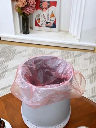 佳帮手垃圾桶客厅高端上档次大号家用2025新款网红卫生间厕所专用