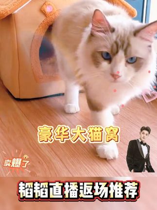猫窝狗窝冬季封闭式安全感可拆洗猫房子猫咪屋猫床宠物冬天用GF#黄子韬 #黄子韬直播 #黄子韬推荐 #狗窝猫窝 #养宠必备