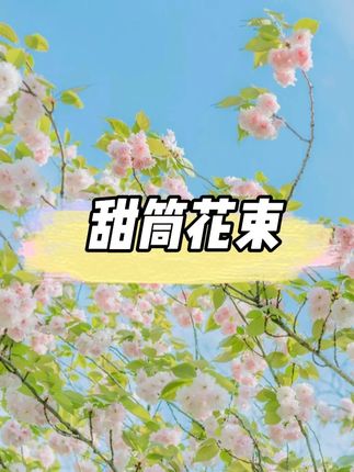 七夕爆款KT猫甜筒花束一体式定型片 #好物推荐🔥 #七夕花束 #爆款热卖中 #超实用 #超划算超便宜