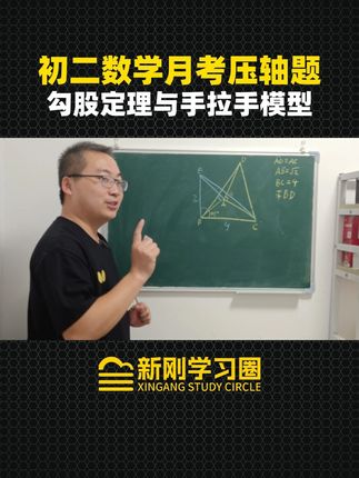 勾股定理与手拉手模型结合,非常巧吗? #勾股定理 #手拉手模型 #初中数学