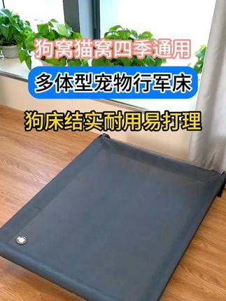 养狗人听我一句劝,有了这个结实耐造四季可用的行军床,就再也不用折腾其他狗窝狗垫子了!#宠物行军床 #萌宠日常记录 #萌宠出道计划 #抖音萌宠 #萌宠推荐官