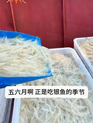 这款银鱼太好吃了,老人小孩都爱吃,营养美味,