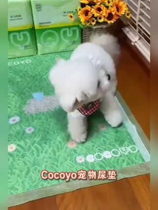 Cocoyo宠物尿垫加厚吸水除臭狗狗尿垫草地尿垫尿片隔尿垫萌宠好物
