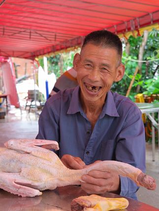 农村媳妇菲利丝