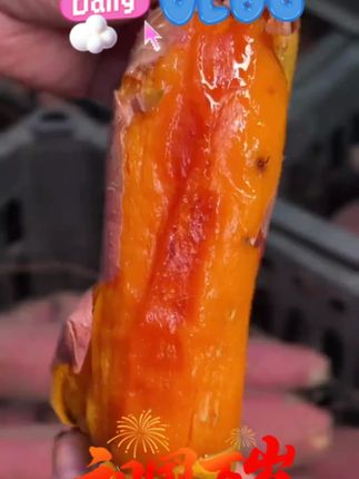 正宗烟薯25号2025年新鲜现挖红薯糖心蜜薯流油超甜蒸煮红薯烤地瓜#烟薯25号 #糖心蜜薯 #新鲜红薯 #美食 #烤地瓜