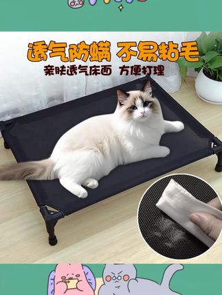 宠物行军床猫窝狗窝透气凉快防潮可拆洗离地中小型犬狗床大型狗窝#狗窝 #小型犬狗床 #行军床 #宠物行军床 #行军床推荐 @DOU+上热门 @小店随心推 @巨量千川