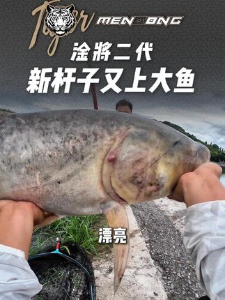 淦将二代 新竿子又上大鱼!#猛攻淦将2代  #龙吟出鞘红运当头