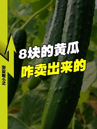 N小黑财经