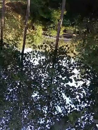 皇尚香 贵州高山健康土麦子面条挂面特产劲道全麦碱水面细刀/中刀#面条#挂面#特产面条#劲道面条#健康面条
