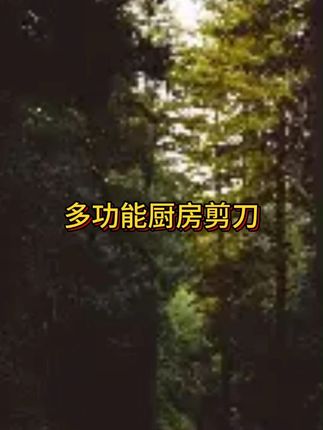 #鸡骨剪  #厨房剪刀  #厨房剪刀多功能  #高性能实用工具  #超便宜超划算