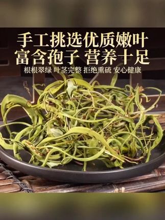 #养生必备清单 #天然植物茶饮 #养生干货分享 #养生新方式 #东北黄金草