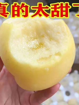 b 巨好吃的奶油苹果,又脆又甜!还有种独特的果香#奶油苹果#脆甜多汁#现摘现发