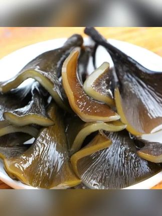 霞浦海带头新鲜厚实软糯干货营养美味干净风干大海鲜嫩#海带头 #煲汤海带头 #炖汤海带头 #美味海带头 #干货海带头