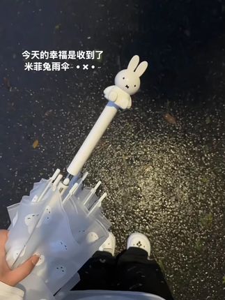 飞恋正版限米菲兔手柄半透明磨砂长柄自动可爱高颜值雨伞 #雨伞 #长柄雨伞 #自动雨伞 #雨伞推荐 #雨伞分享