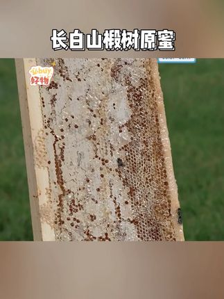 【森蜂园】长白山椴树原蜜500g*4瓶/组#蜂蜜 #椴树原蜜 #好物推荐