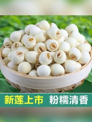 荷忆湖南正宗去芯白莲子500g莲子干货饱满清香粉糯易煮新莲子干货#莲子干货 #粉糯莲子 #湖南莲子 #清香食材 #养生食材