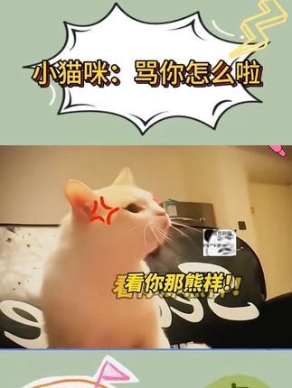 动物世界里的事情 #搞笑 #宠物vlog #萌宠出道计划 #宠物成精