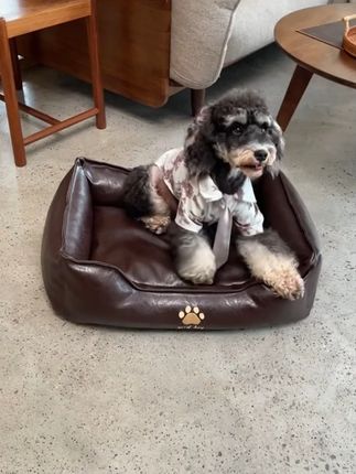 三只伴训牧围窝狗窝四季通用可拆洗皮革质小型犬防水耐撕咬宠物窝 狗窝四季通用中小型犬泰迪柴犬耐咬耐磨防水狗窝宠物猫垫子#宠物窝 #萌宠日常记录 #萌宠推荐官 #日常分享 #铲屎官的乐趣
