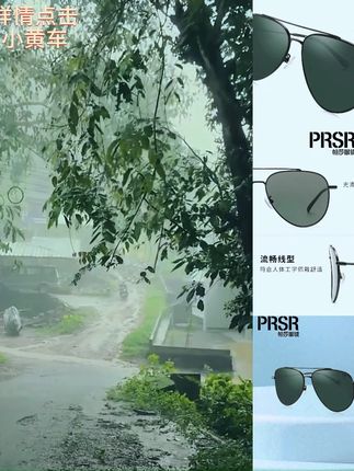 帕莎2024年新品百搭时尚防紫外线潮流双梁飞行员太阳镜-PS