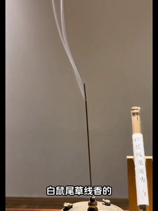 白鼠尾草圣木雪松线香 #线香 #香文化 #白鼠尾草线香 #好物推荐🔥 #好物分享🔥