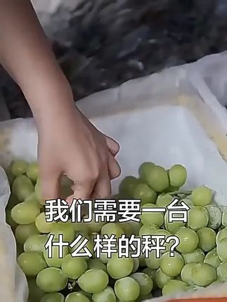 德力西电气便携式手提电子秤精准克秤家用小型高精度称重手提秤#德力西 #便携式手提电子秤 #手提电子秤 #电子秤 #精准克秤